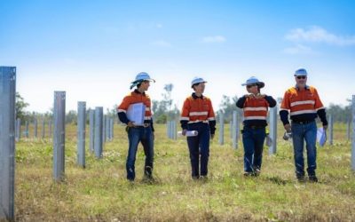 SOLAR FARM